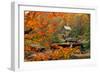 Glade Creek Grist Mill-Ron Watts-Framed Photographic Print