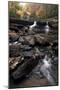 Glade Creek-Danny Head-Mounted Photographic Print