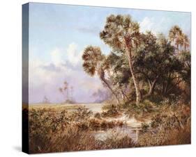 Glades Cove-Art Fronckowiak-Stretched Canvas