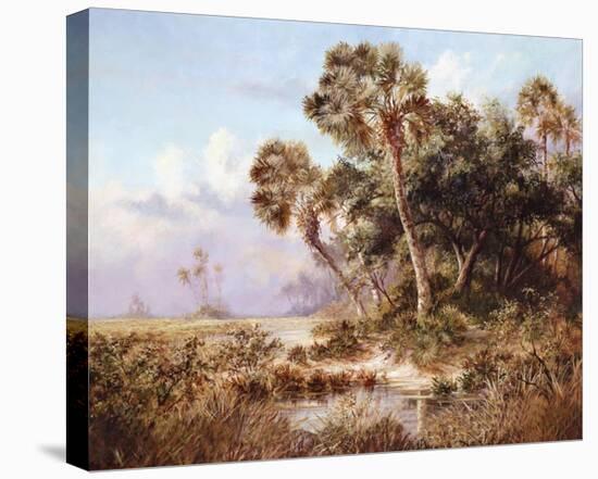 Glades Cove-Art Fronckowiak-Stretched Canvas