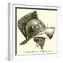 Gladiator's Helmet-null-Framed Giclee Print