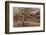 Gladiators in the Arena-Edmund Evans-Framed Photographic Print