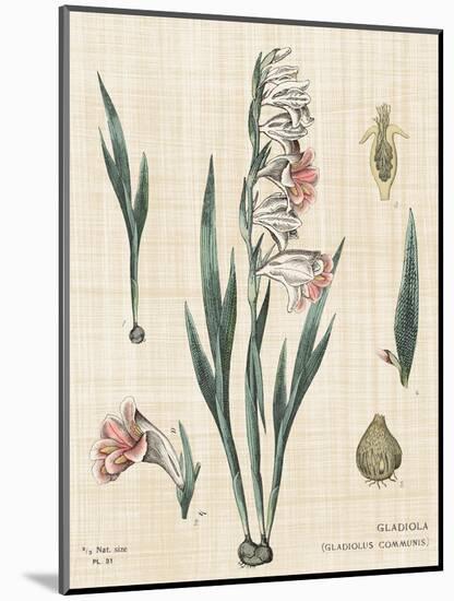 Gladiola Chart Linen-Sue Schlabach-Mounted Art Print