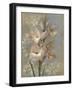 Gladiola on Soft Blue-Silvia Vassileva-Framed Art Print