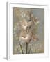 Gladiola on Soft Blue-Silvia Vassileva-Framed Art Print