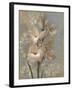 Gladiola on Soft Blue-Silvia Vassileva-Framed Art Print