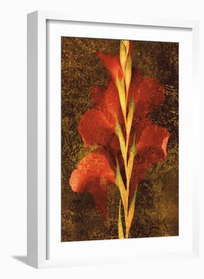 Gladiola-John Seba-Framed Art Print