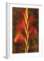 Gladiola-John Seba-Framed Art Print