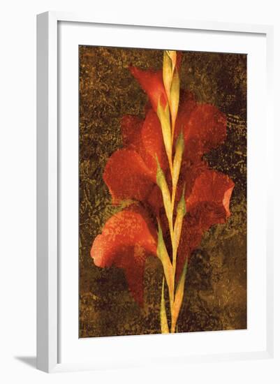 Gladiola-John Seba-Framed Art Print