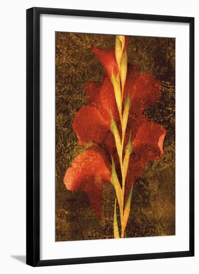 Gladiola-John Seba-Framed Art Print