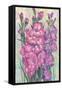 Gladiolas Blooming I-Tim OToole-Framed Stretched Canvas