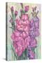 Gladiolas Blooming I-Tim OToole-Stretched Canvas