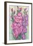 Gladiolas Blooming I-Tim OToole-Framed Art Print