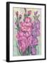 Gladiolas Blooming I-Tim OToole-Framed Art Print