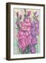 Gladiolas Blooming I-Tim OToole-Framed Art Print