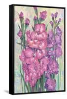 Gladiolas Blooming I-Tim OToole-Framed Stretched Canvas