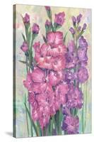 Gladiolas Blooming I-Tim OToole-Stretched Canvas