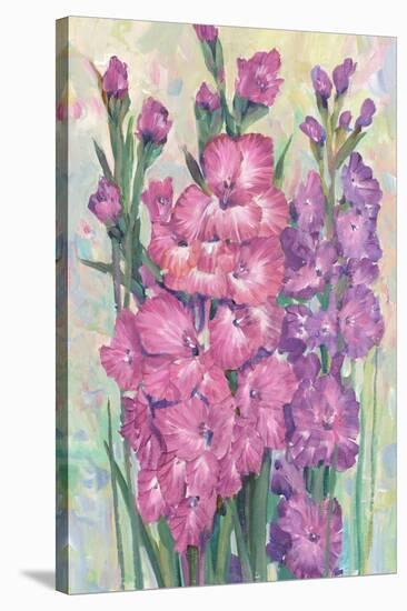 Gladiolas Blooming I-Tim OToole-Stretched Canvas