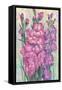 Gladiolas Blooming I-Tim OToole-Framed Stretched Canvas