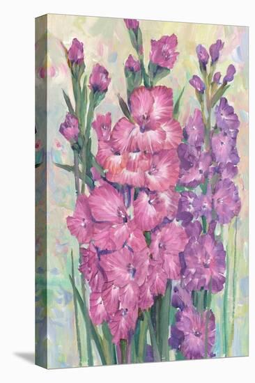 Gladiolas Blooming I-Tim OToole-Stretched Canvas