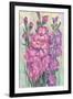 Gladiolas Blooming I-Tim OToole-Framed Art Print