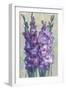 Gladiolas Blooming II-Tim OToole-Framed Art Print