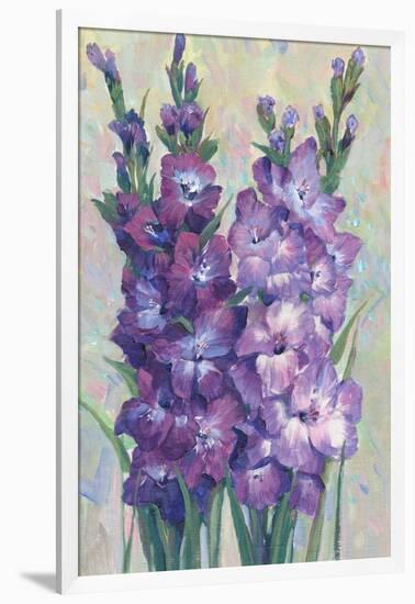 Gladiolas Blooming II-Tim OToole-Framed Art Print