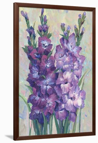 Gladiolas Blooming II-Tim OToole-Framed Art Print