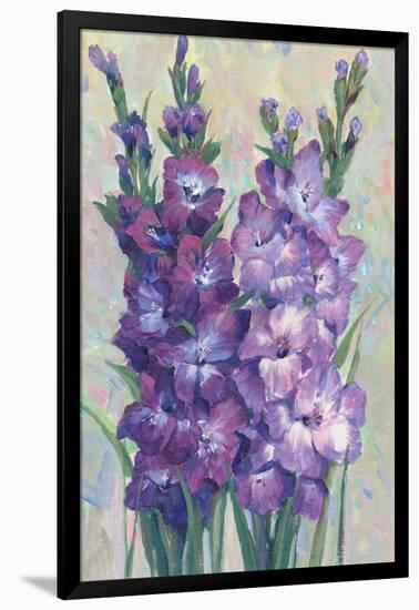 Gladiolas Blooming II-Tim OToole-Framed Art Print