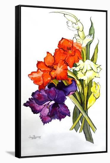 Gladioli, 2011-Joan Thewsey-Framed Stretched Canvas