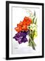 Gladioli, 2011-Joan Thewsey-Framed Giclee Print