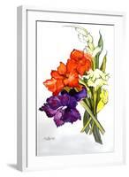 Gladioli, 2011-Joan Thewsey-Framed Giclee Print