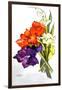 Gladioli, 2011-Joan Thewsey-Framed Giclee Print