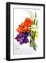 Gladioli, 2011-Joan Thewsey-Framed Giclee Print