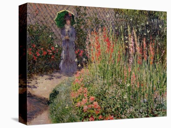 Gladioli, c.1876-Claude Monet-Stretched Canvas