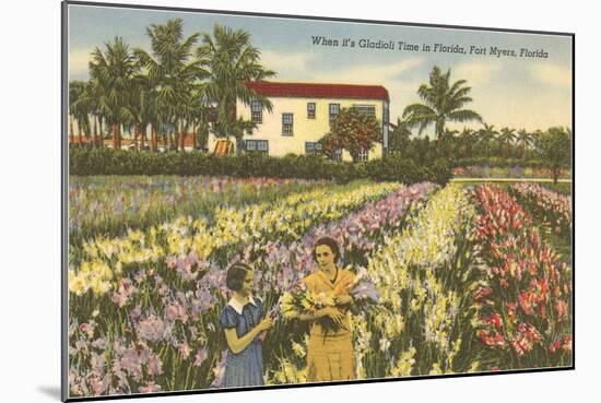 Gladioli Field, Ft. Myers, Florida-null-Mounted Art Print