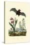 Gladiolus, 1833-39-null-Stretched Canvas