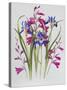 Gladiolus and Iris Sibirica-Sally Crosthwaite-Stretched Canvas