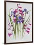 Gladiolus and Iris Sibirica-Sally Crosthwaite-Framed Giclee Print