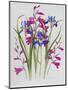 Gladiolus and Iris Sibirica-Sally Crosthwaite-Mounted Giclee Print