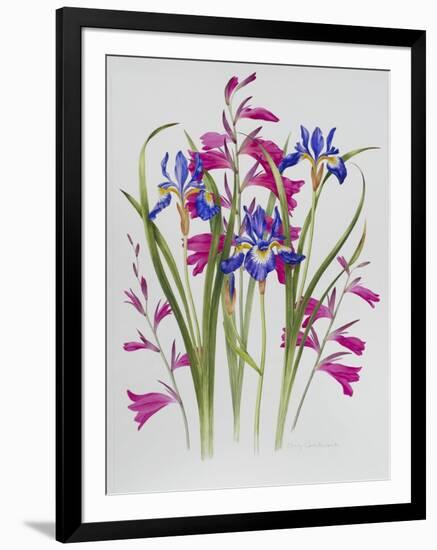 Gladiolus and Iris Sibirica-Sally Crosthwaite-Framed Giclee Print