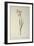 Gladiolus Carneus, from `Les Liliacees', 1804-Pierre-Joseph Redouté-Framed Giclee Print