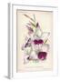 Gladiolus Lemoinei-null-Framed Giclee Print