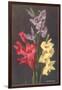 Gladiolus-null-Framed Art Print