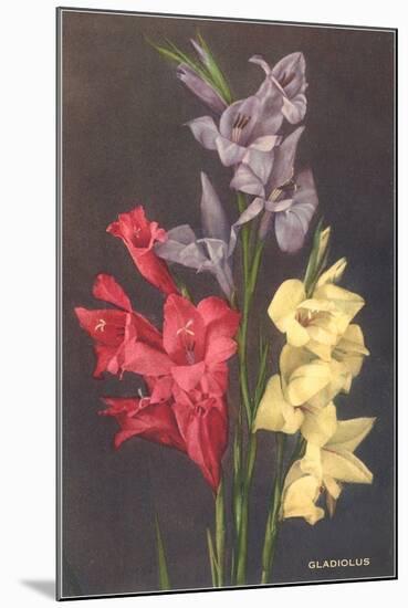 Gladiolus-null-Mounted Art Print