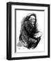 Gladstone in 1888-Harry Furniss-Framed Art Print