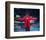 Gladys Knight-null-Framed Photo