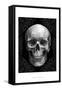 Glam Skull-Ethan Harper-Framed Stretched Canvas
