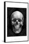 Glam Skull-Ethan Harper-Framed Stretched Canvas