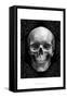 Glam Skull-Ethan Harper-Framed Stretched Canvas